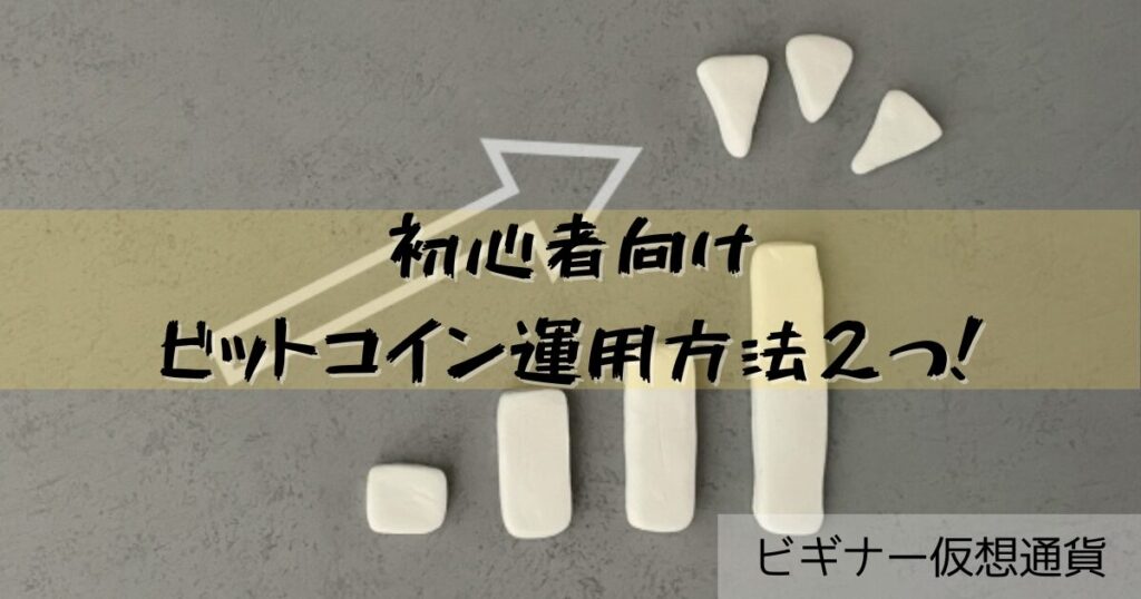ビットコイン運用方法